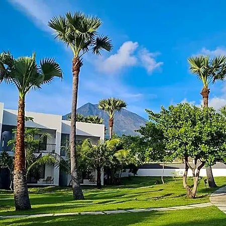 Palm Springs Bali