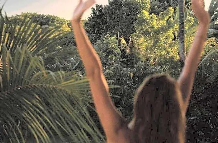Palm Springs ホテル